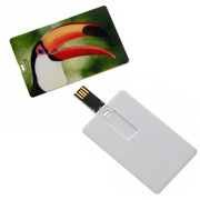 Pen-Card-8GB-5.6-x-8.4--Pen-drive-cartao-8G